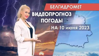 Видеопрогноз погоды по областным центрам Беларуси на 10 июня 2023 года