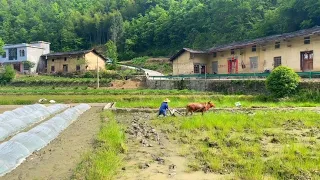 農村田園生活三餐四季，回歸自然吃的更健康，去學習耕地，傳承