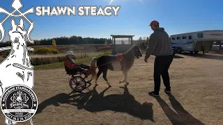 2022 Breeders Crown - Shawn Steacy