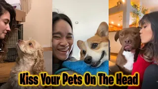 Kiss Your Pet On The Head And See Their Reaction Tiktok (Kiss your pet on the head challenge)