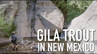 Gila Trout in New Mexico - Episode 9 Western Native Trout Challenge - Tenkara Fly Fishing