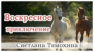 ✔"Воскресное приключение"  - христианский рассказ из сборника "Секрет Радости". Светлана Тимохина.