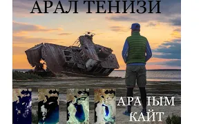 Арал Теңизи