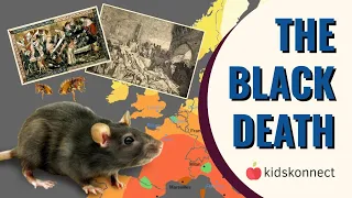 The Black Death | Bubonic Plague | For Kids