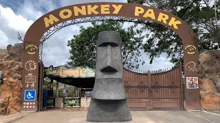 Monkey park zoo,Los cristianos-Tenerife, Spain