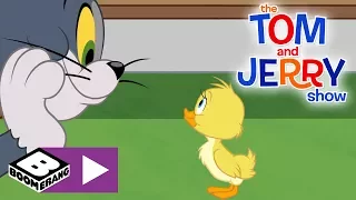 The Tom and Jerry Show | Starving Tom Is My Pal | Boomerang UK