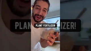 Homemade Plant Fertilizer using Milk | creative explained