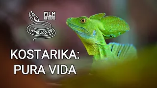 Kostarika: Pura Vida (dokumentární film studia Living Zoology)