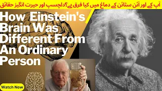 HOW EINSTEIN'S BRAIN WAS DIFFERENT FROM AN ORDINARY PERSON | KNOWLEDGE TV |