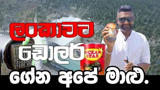 ලංකාවට ඩොලර් ගේන අපේ මාළු...