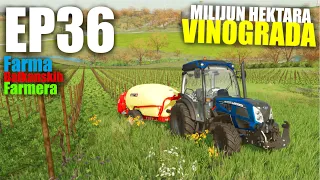 PRAVIMO OGROMNU KOLIČINU VINA !! | Farma Balkanskih Farmera | Epizoda 36