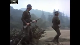 Combat! German patrol got sudden attacked by the Amerikaner  德军巡逻队惨遭美军袭击