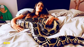 Woman Thought Her Snake Was Just a Cuddly Companion, But the Ultrasound Revealed Otherwise