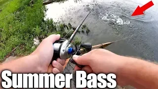 Summer Bass Fishing from the Bank With Subscribers Lures