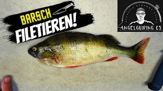 Barsch richtig sorgfältig Filetieren und Haut abziehen How to fillet a Perch