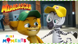 Best Friends And Baseball ⚾️  🏏 | Madagascar: A Little Wild | Compilation | Mini Moments