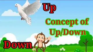 Up/Down/ Concept for Kindergarten/Kids Special Learning