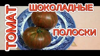 ТОМАТ ШОКОЛАДНЫЕ ПОЛОСКИ. ДЕГУСТАЦИЯ И ОБЗОР ТОМАТА. Tomatoes CHOCOLATE STRIPES.