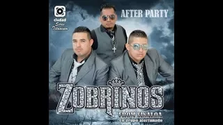 Los Zobrinos De Sinaloa Mix (Prohibido)