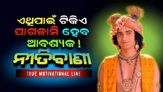 Best Motivational True line || Nitibani in Odia || Odia Good Message || Sadhubani in odia