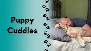 How to cuddle with your dog! #dogs #shorts #cute