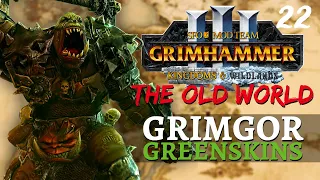 DA OTHA BOYZ | Old World Mod & SFO - Total War: Warhammer 3 - Greenskins - Grimgor #22