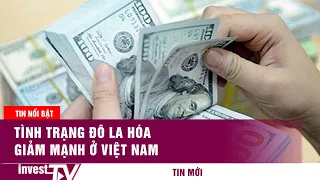 Tình trạng Đô La Hóa trong nền kinh tế Việt Nam giảm mạnh