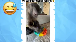 Лучшие приколы 2021 за Июнь 😂Свежие приколы Июнь 2021😂 Приколы за Июнь 2021 №48