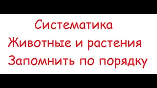 Систематика. Животные и растения. Запомнить по порядку | БИОЛОГИЯ ЦТ ЕГЭ