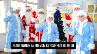 Новогодние автобусы курсируют по Орше