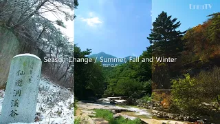 Season Change - Summer, Fall and Winter / Test Clip