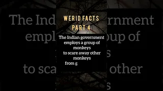 indian government werid fact #facts #india #viral
