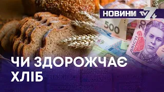 ТВ7+. ДЕФІЦИТ ЕЛЕКТРОЕНЕРГІЇ, ЗДОРОЖЧАННЯ ПАЛЬНОГО –ЧИ ЗМІНИТЬСЯ ЦІНА НА ХЛІБ