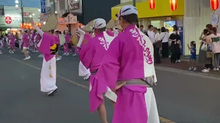 Takesato omatsuri 7/30/2023 #awaodori The Japanese traditional dance