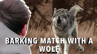 BEST WOLF BARKING Video EVER FILMED | Wild Shed Hunt: PART 1 | S8E1 | Limitless Outdoors