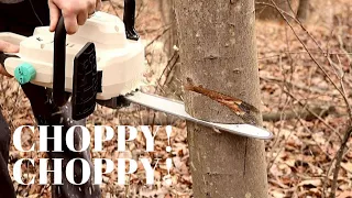 Testing the best cordless chainsaw for the money on Amazon.