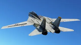 F-14 Tomcat in 2023