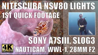 4K NITESCUBA NSV80 quick first test in low visibility, Sony A7SIII Nauticam WWL-1, SLOG3, ISO 12,800