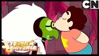 Steven Heals Centipeetle | Monster Reunion | Steven Universe | Cartoon Network