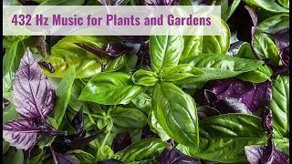 432 Hz Music for Garden Plants 🌱 Music To Stimulate Plant Growth