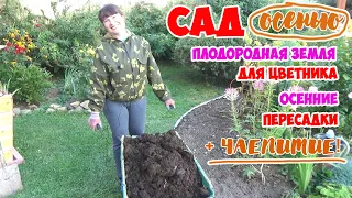 САД в СЕНТЯБРЕ. Готовлю ПЛОДОРОДНУЮ ПОЧВУ под цветник! Пересадка сирени, ивы, туи + ЧАЕПИТИЕ