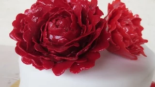 Peony Gumpaste Tutorial/ Pfingstrosen-Tutorial/ Dekoidee für Motivtorten