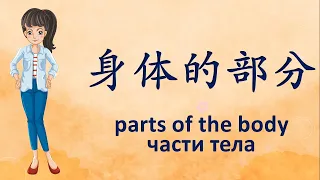 Parts of the body in Chinese. Части тела по-китайски. 身体的部分