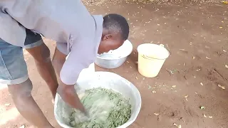 How to prepare quality feed for pigs using elephant grass in 2023.