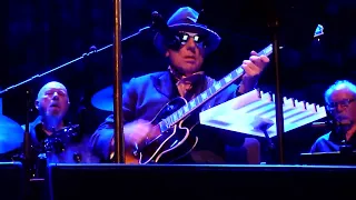 Van Morrison - Utrecht -- WHAT WOULD I DO -- TivoliVredenburg - 1 may 2024