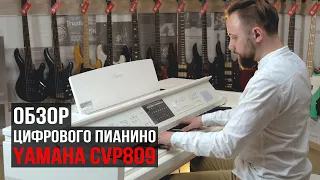 Цифровое пианино Yamaha Clavinova CVP-809 (обзор с Борисом Кузьменко)