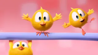 Where's Chicky? Funny Chicky 2023 | Chicky the acrobat | Cartoon in English for Kids | New episodes