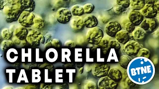 Chlorella Tablet Under The Microscope