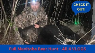 Manitoba bear hunting VLOGS | All FOUR 2023 vlogs