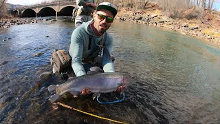 MASSIVE Rainbow Trout | Fly Fishing SW Colorado